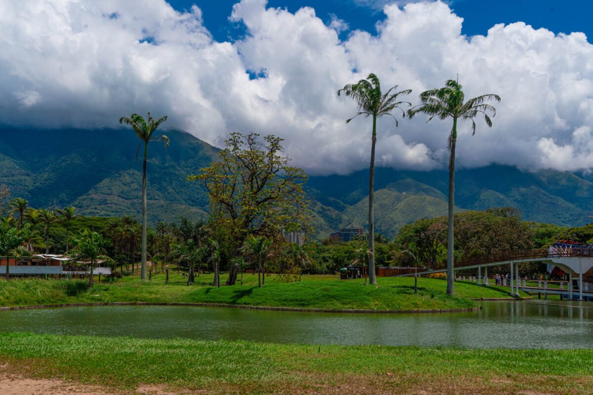 Los oasis de Caracas: espacios verdes que dan respiro a la ciudad