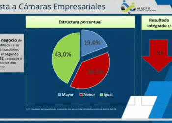 Fedecámaras: el uso de divisas en transacciones privadas en Venezuela se redujo a 41,5 %