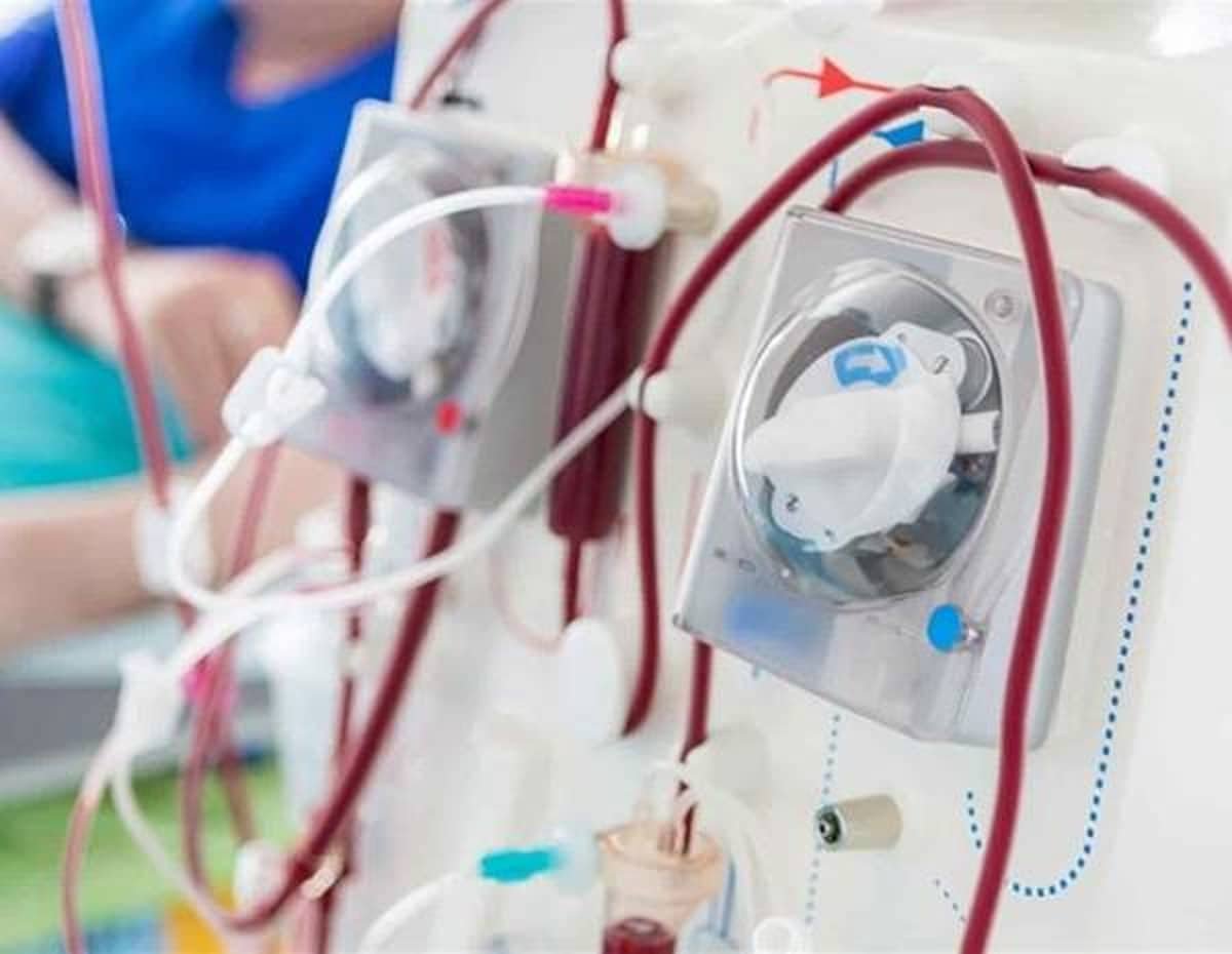 Enfermedades comunes de los riñones: síntomas y tratamiento 